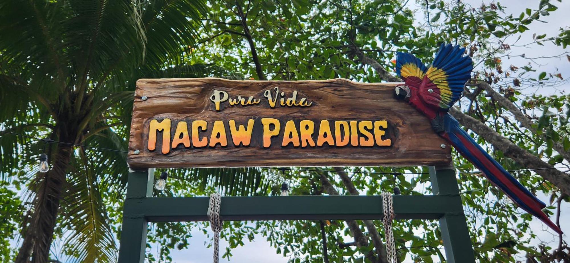 Macaw Paradise جاكو المظهر الخارجي الصورة