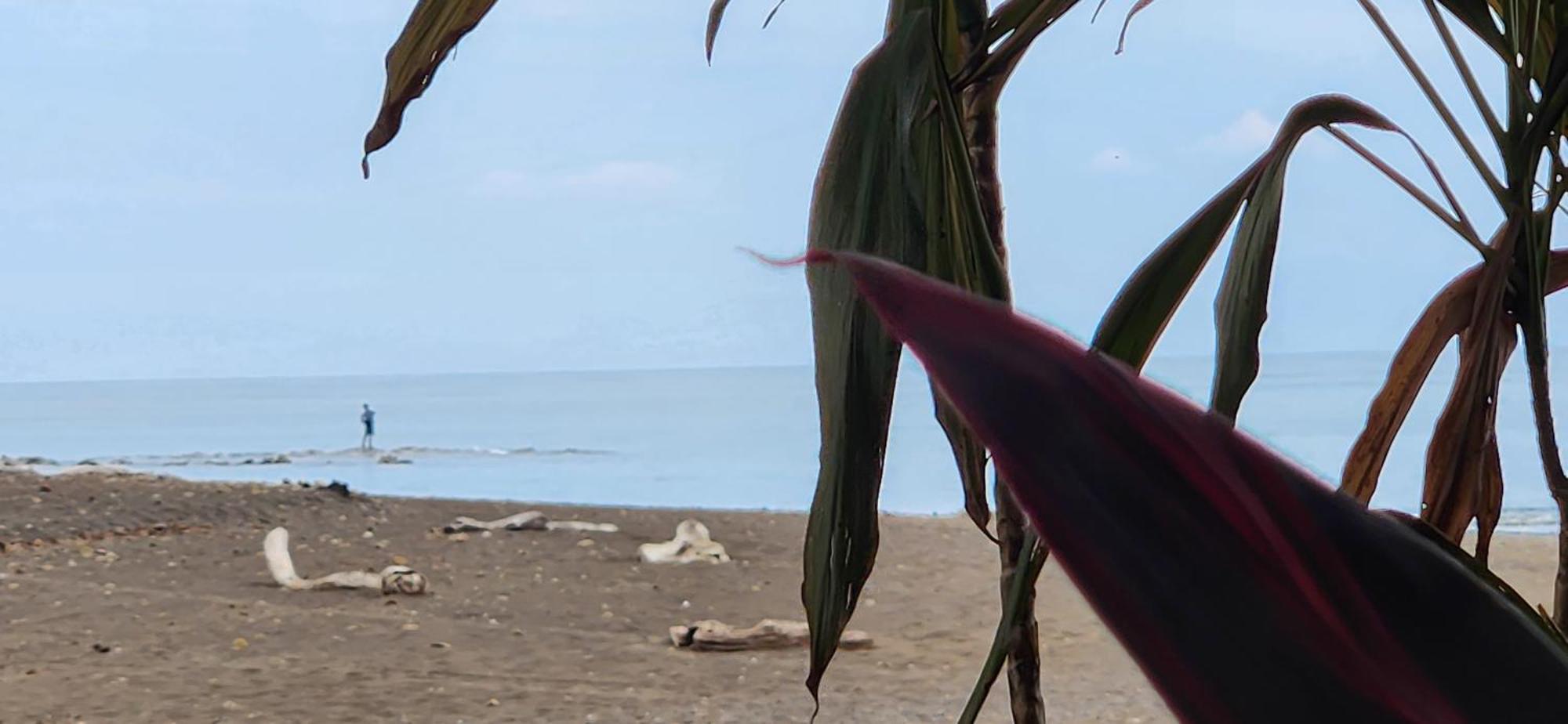 Macaw Paradise جاكو المظهر الخارجي الصورة