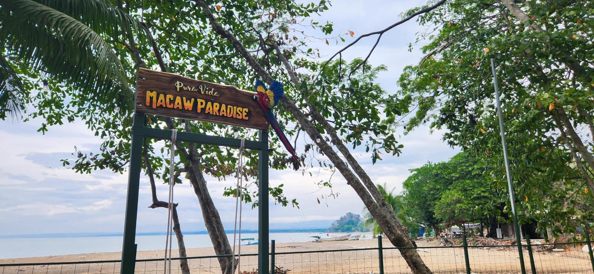 Macaw Paradise جاكو المظهر الخارجي الصورة