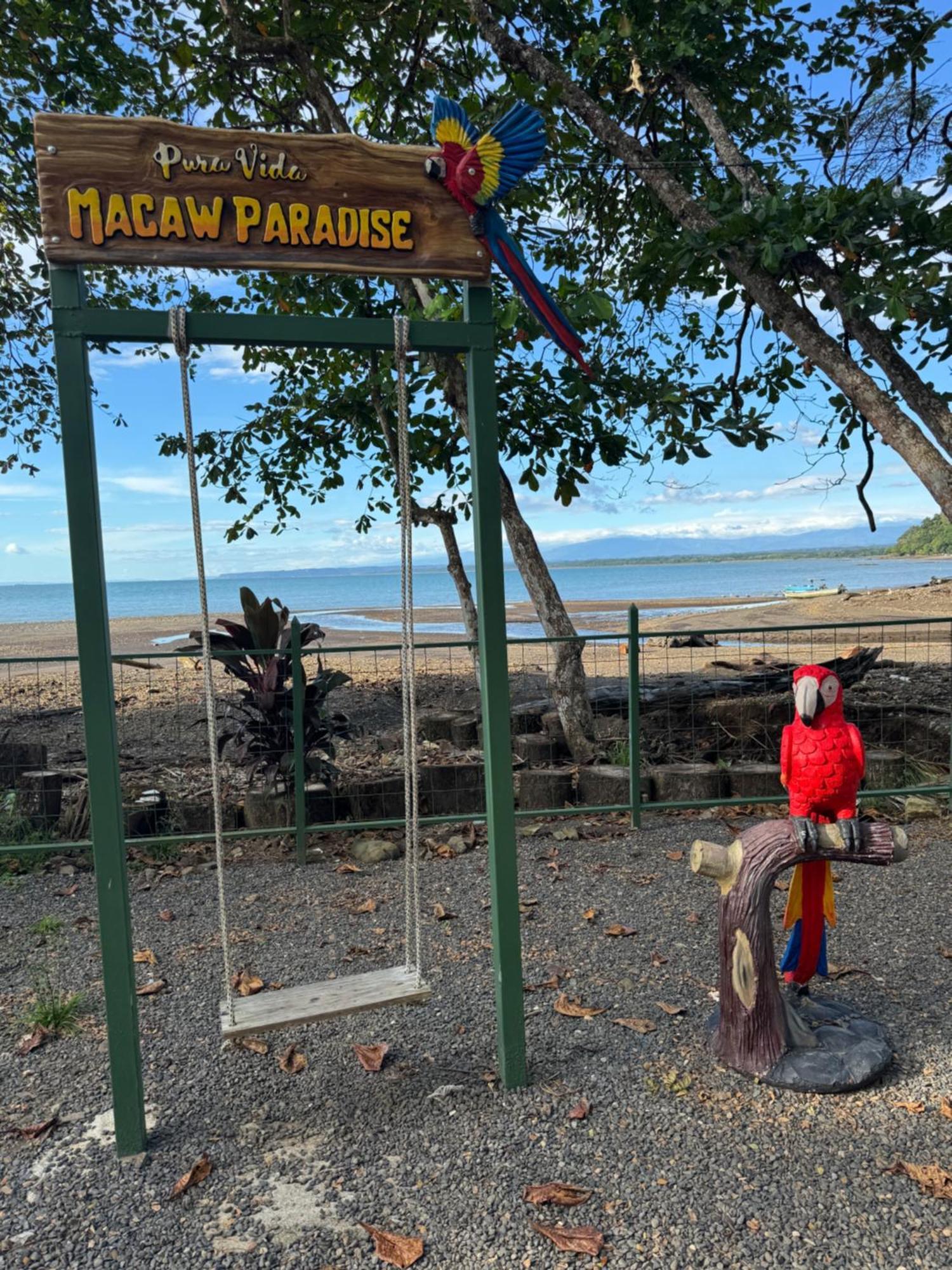 Macaw Paradise جاكو المظهر الخارجي الصورة